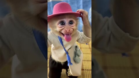 If happiness had a face, it would look like this sweet baby monkey. 🐵💖