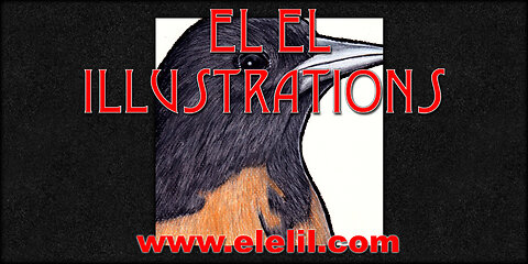 Drawing an Oriole in Pastel