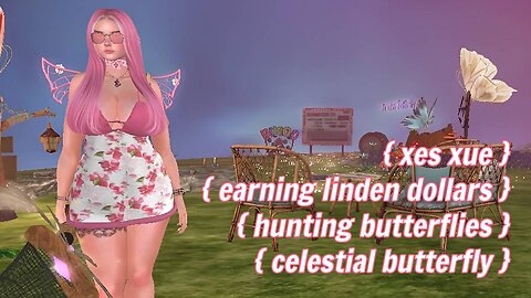 Second Life free money by hunting butterflies with Celestial Butterfly LIVE!