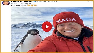 fren news17 - Be a Warrior Embrace the Penguin.......