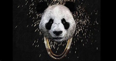 Designer - Panda