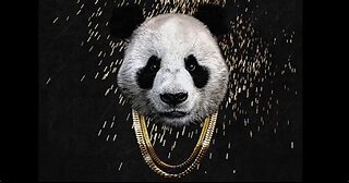 Designer - Panda