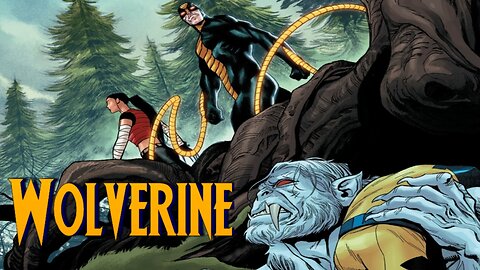 The False Metal: Wolverine #5