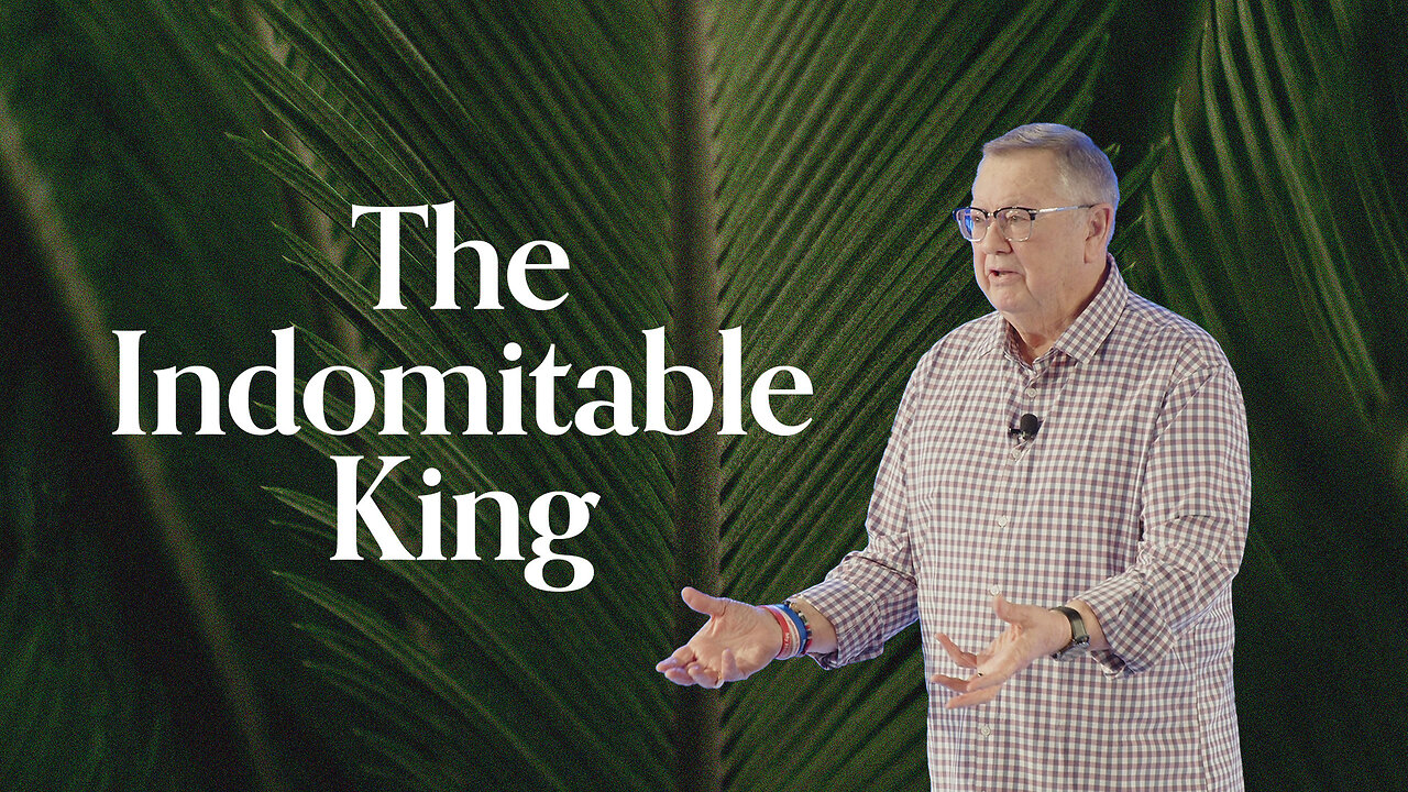The Indomitable King | Tim Sheets