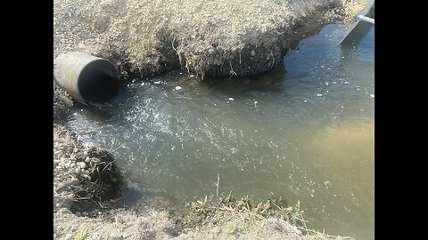 Water Skeeters Gone After GCMAD Fogs Neighborhood