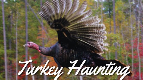 Turkey hunting with ‪@HendrickOutdoors‬