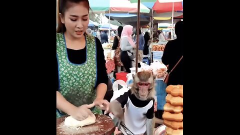 😂 monkey 🐒 cuisine 🧑‍🍳 #ai #monkey #united #america #cuisine