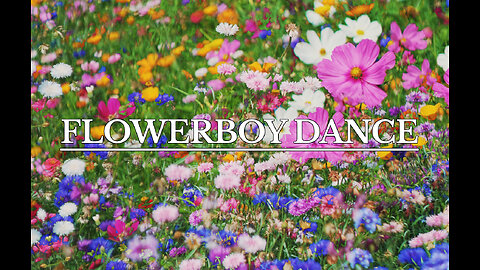 Visual Meditations: FLOWERBOY DANCE