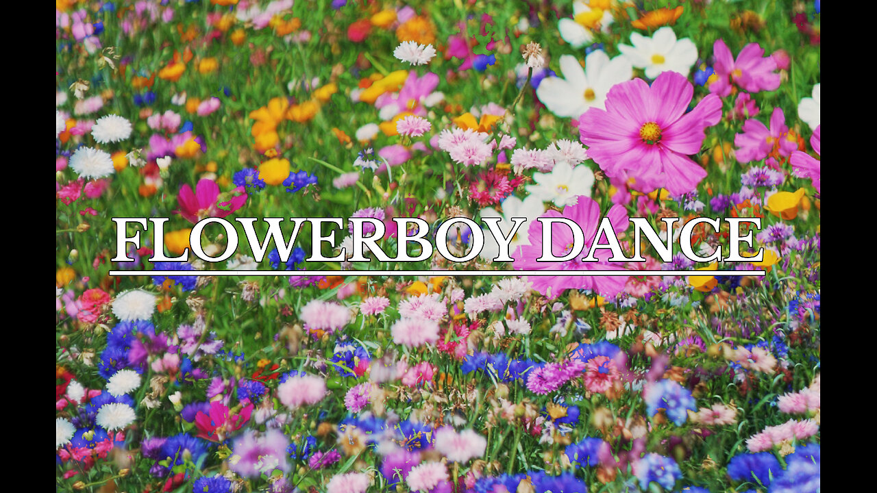 Visual Meditations: FLOWERBOY DANCE