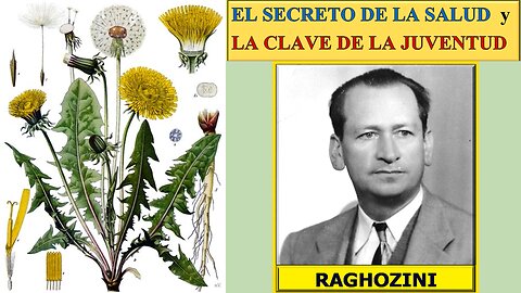 EL SECRETO DE LA SALUD y LA CLAVE DE LA JUVENTUD