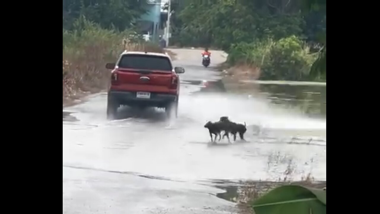 Party on the water. It's fun when the sun is shining.