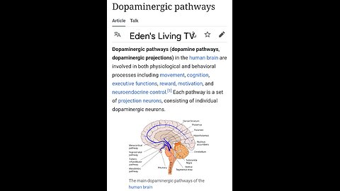 Dopamomergic pathways _ what is it and what is the function with Eden's Living TV