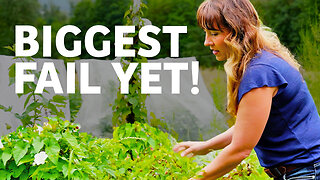 Trying to Grow More Food with Less Work? Watch This First (July Garden Tour)