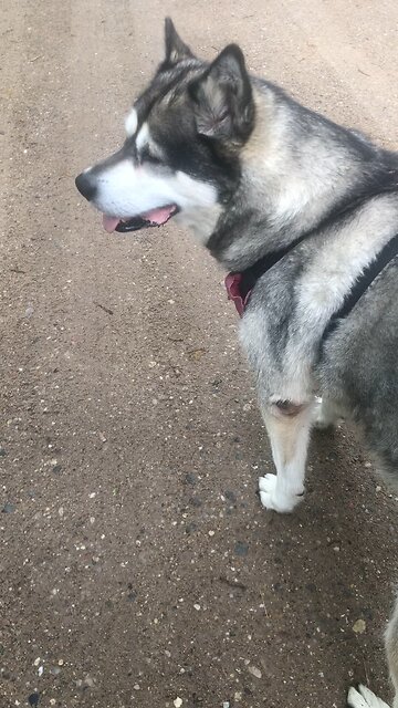 Wednesday June 4, I will bless you richly.