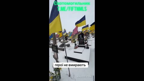 Good morning, mi z of Ukraine