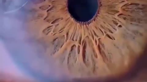 Flash information...