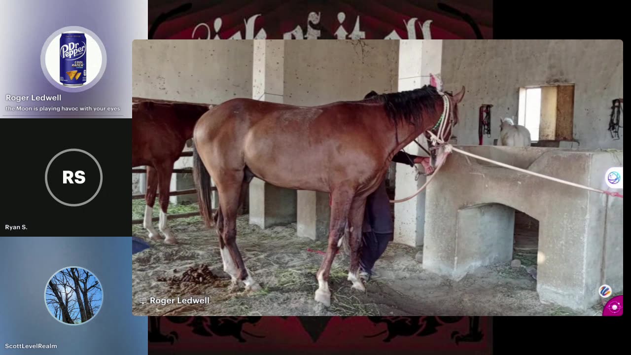 Forcing the Real issue