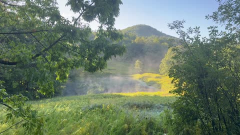 Morning Steam Coming Off the Pond