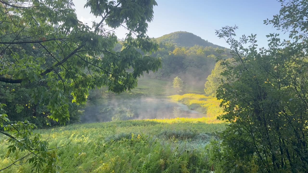 Morning Steam Coming Off the Pond