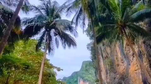 how did you like it?