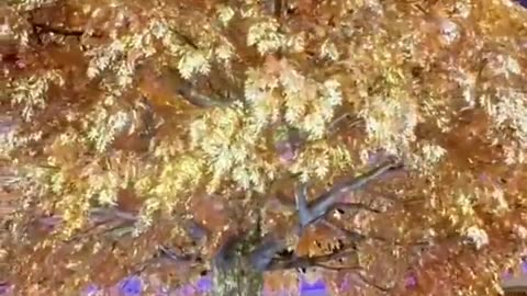 🌳🏺 The Enchanted Tree of Prosperity in Macau! | FeedMyCuriosity