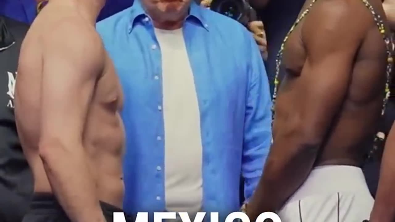 ألفاريز - سكول، بث مباشر للملاكمة عبر الإنترنت