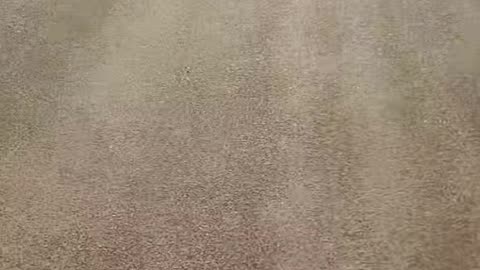 May 5th 2025 (Longboarding)