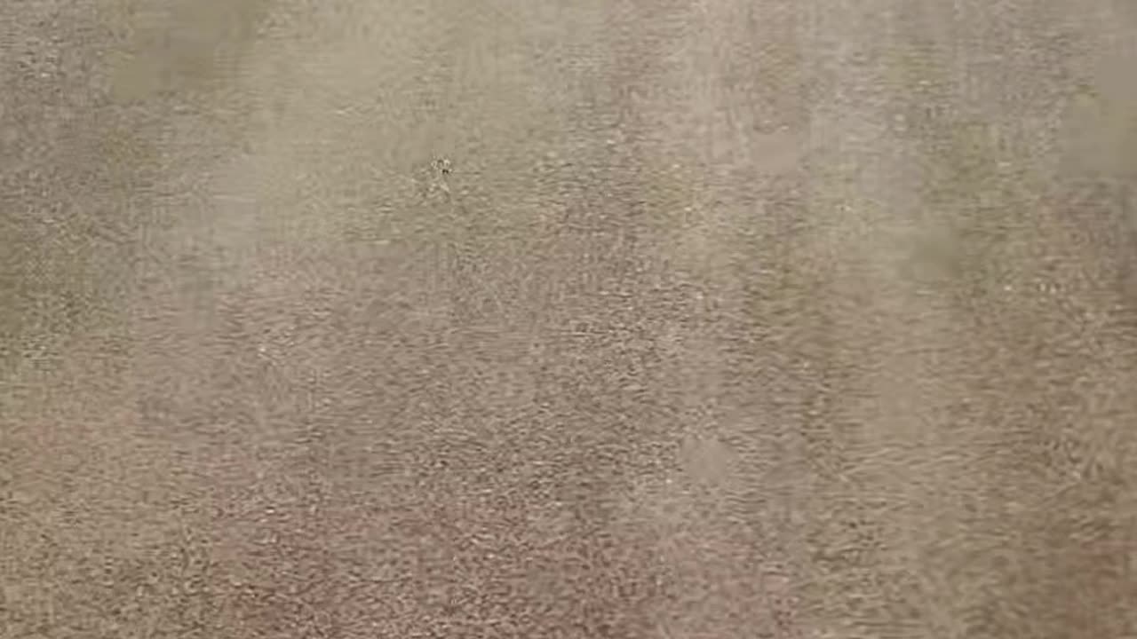 May 5th 2025 (Longboarding)