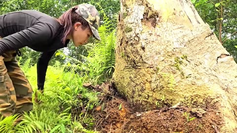 1 - 1 The Miraculous Survival Journey ofa Girl- Building a Wooden House and Hunting Wild Pigs