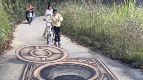 3D paintings - bridge, waterfalls, well, manhole, snake, stairs, dog, tunnel, canal, motorcycle
