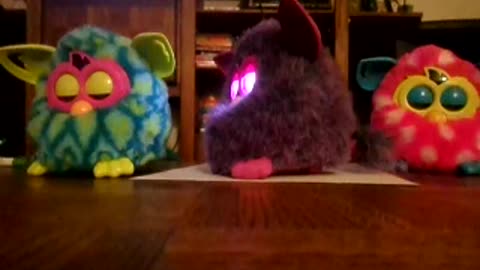 Kitty Litter song with a Furby party!!!