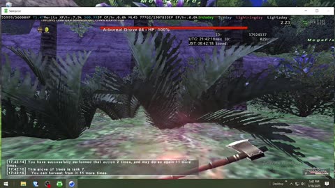 Playing Final Fantasy XI Online