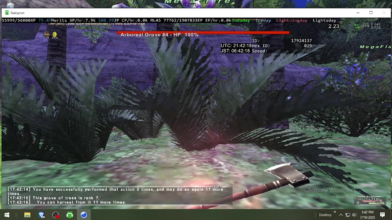 Playing Final Fantasy XI Online