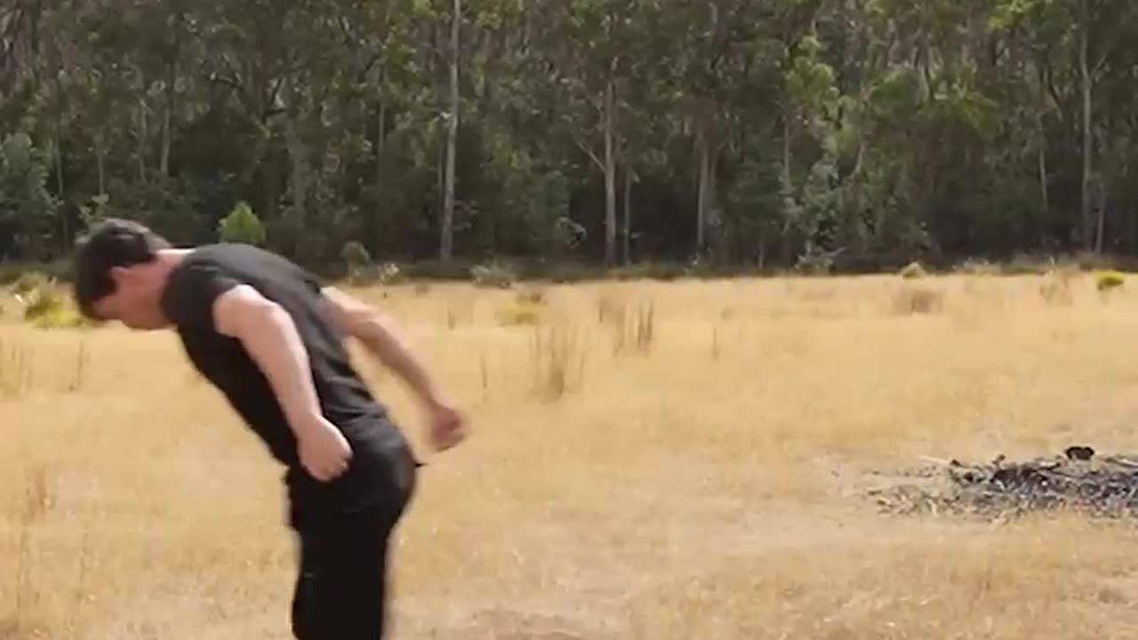 Animal packing out