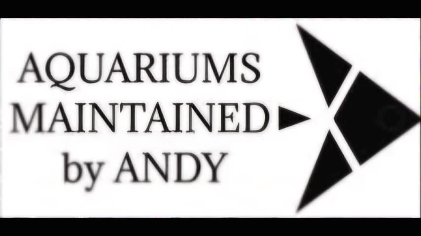 2025 highlights aquarium maintenance