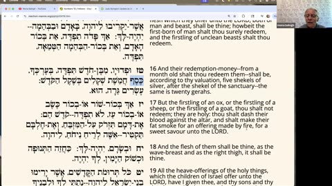 Parasha Qorach: Numbers 16:1-18:32