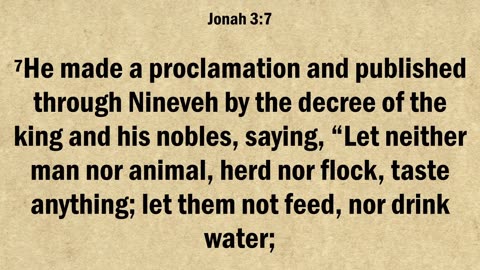 Jonah 3
