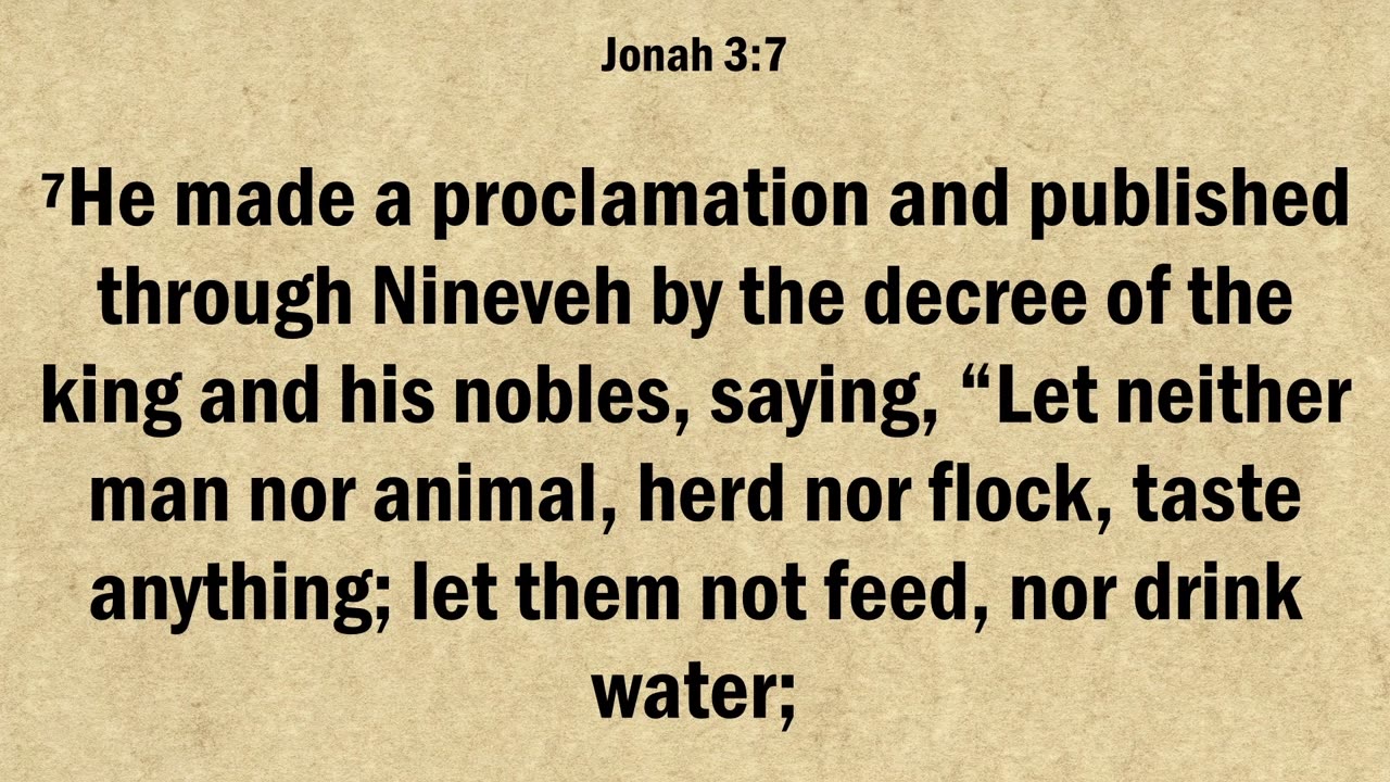 Jonah 3