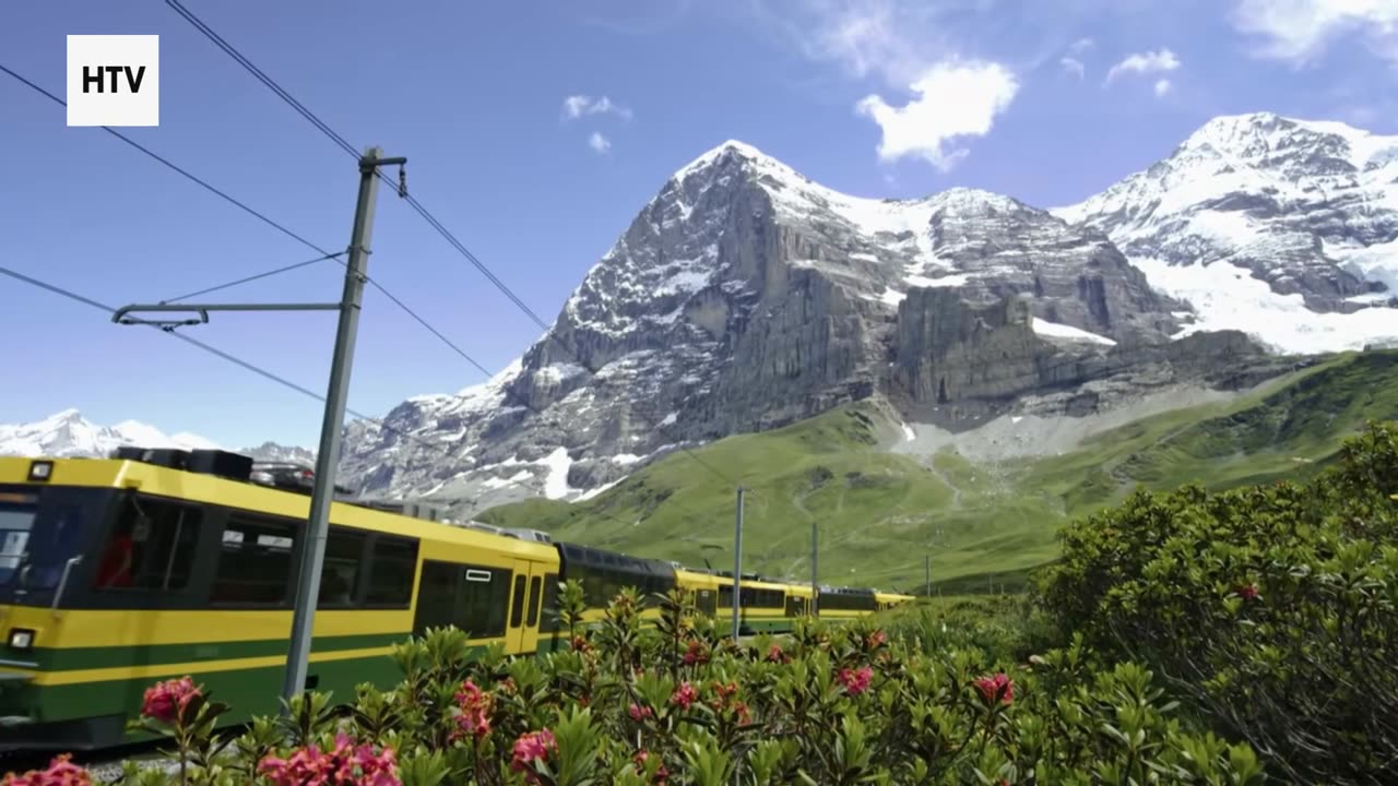 Nightfall in the Wilderness