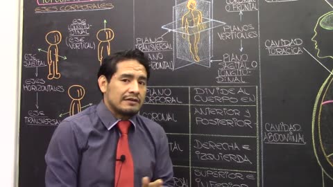Video educativo sobre Anatomía, primera semana de la PRE