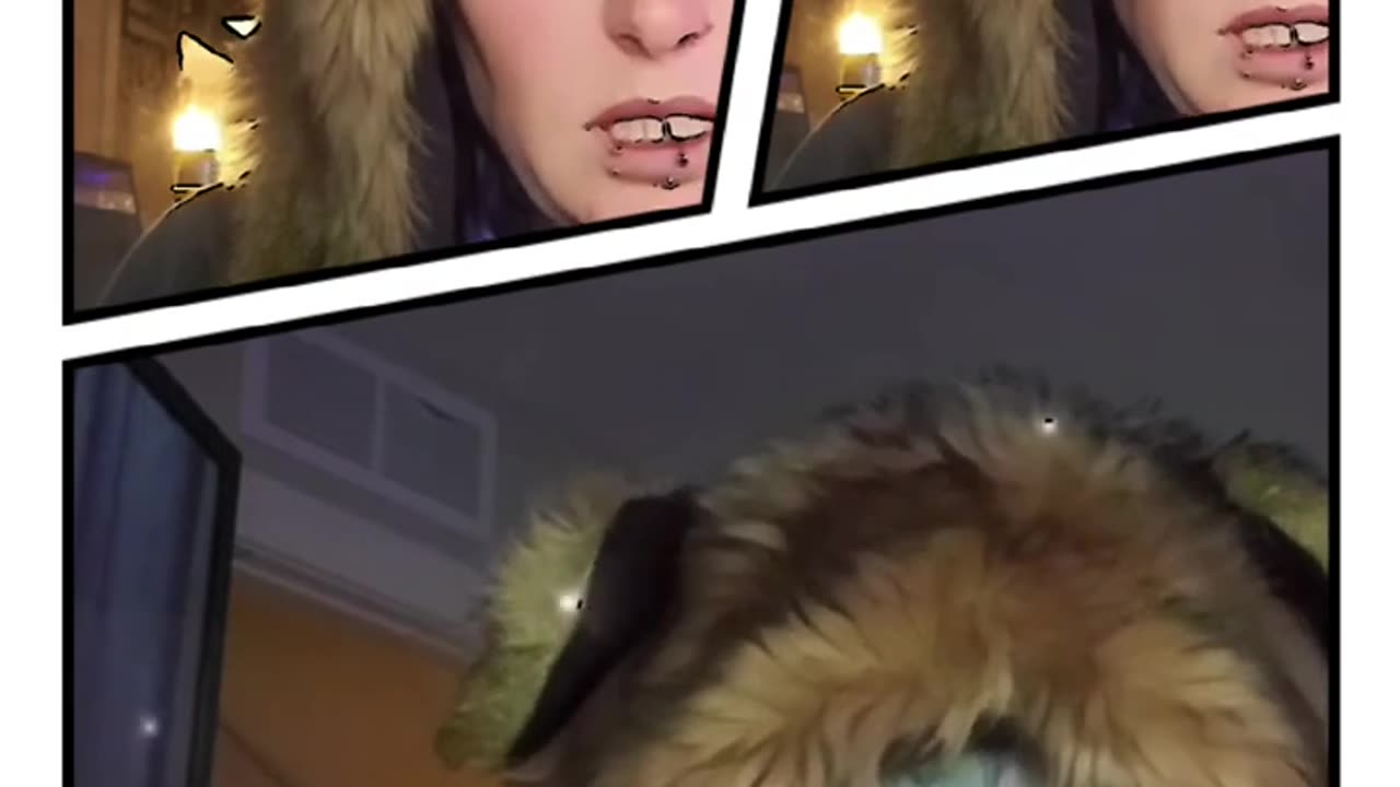 War of Waffles report - Congressional Hearing Held - 12/08/2023