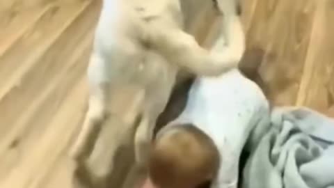 My kids and pet