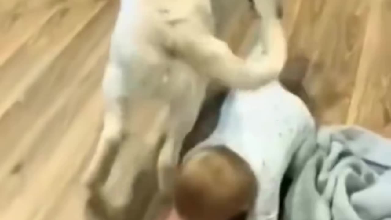 My kids and pet
