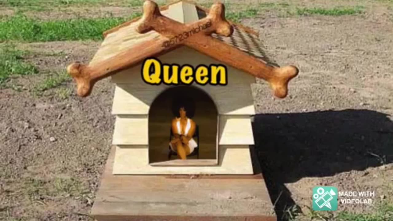 Why Beyonce should play the Hottentot Venus! Part 1.