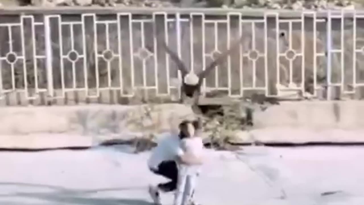 Khatarnak Bird real short video