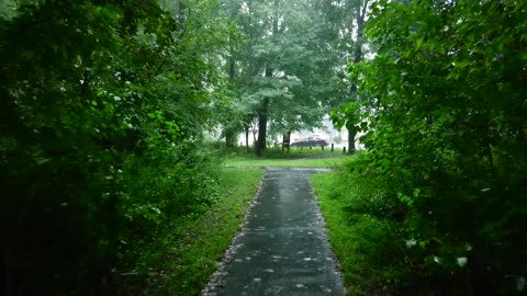 Relaxing Walk in the Rain, Umbrella and Nature Sounds for Sleep and Relaxation | 4k ASMR