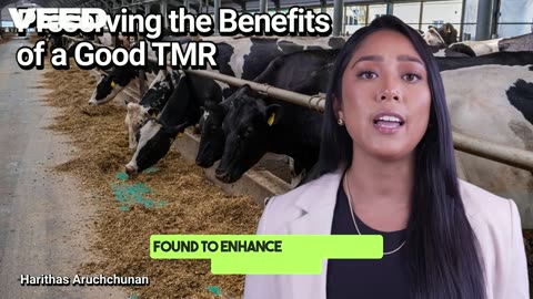 Maximize Dairy Yield:Preserving the Benefits of a Good TMR