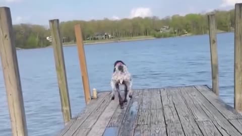 The Great Lakeside Tumble