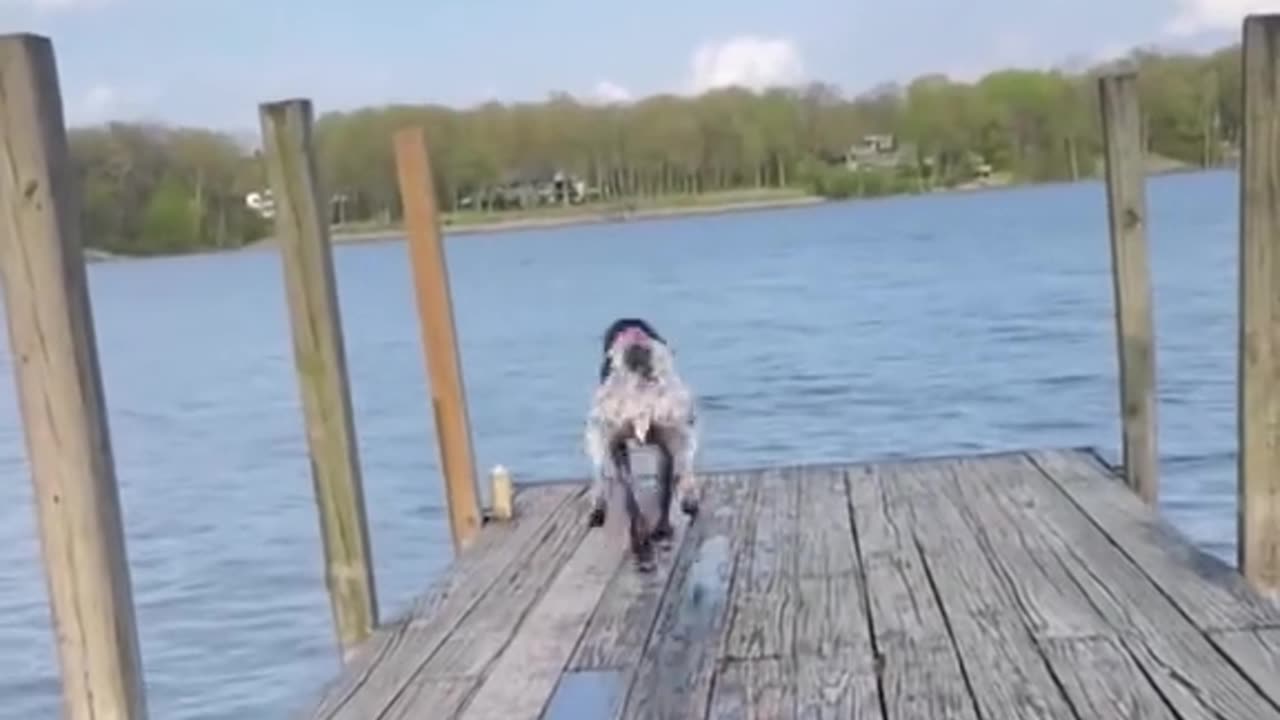 The Great Lakeside Tumble