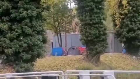 🚨 Dublin Locals report that migrants are setting up tents along the canal and other locations